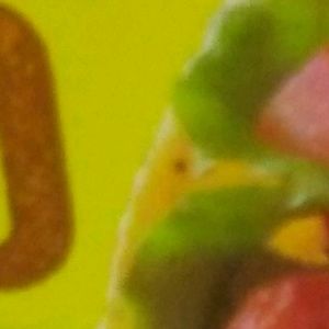 Meet your Posher, Ben